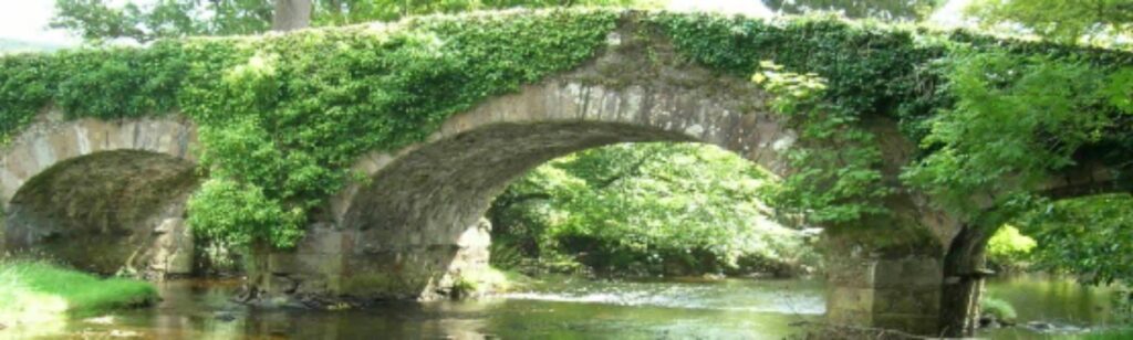 Peaceful natural scene with a leaf-covered bridge over a stream.